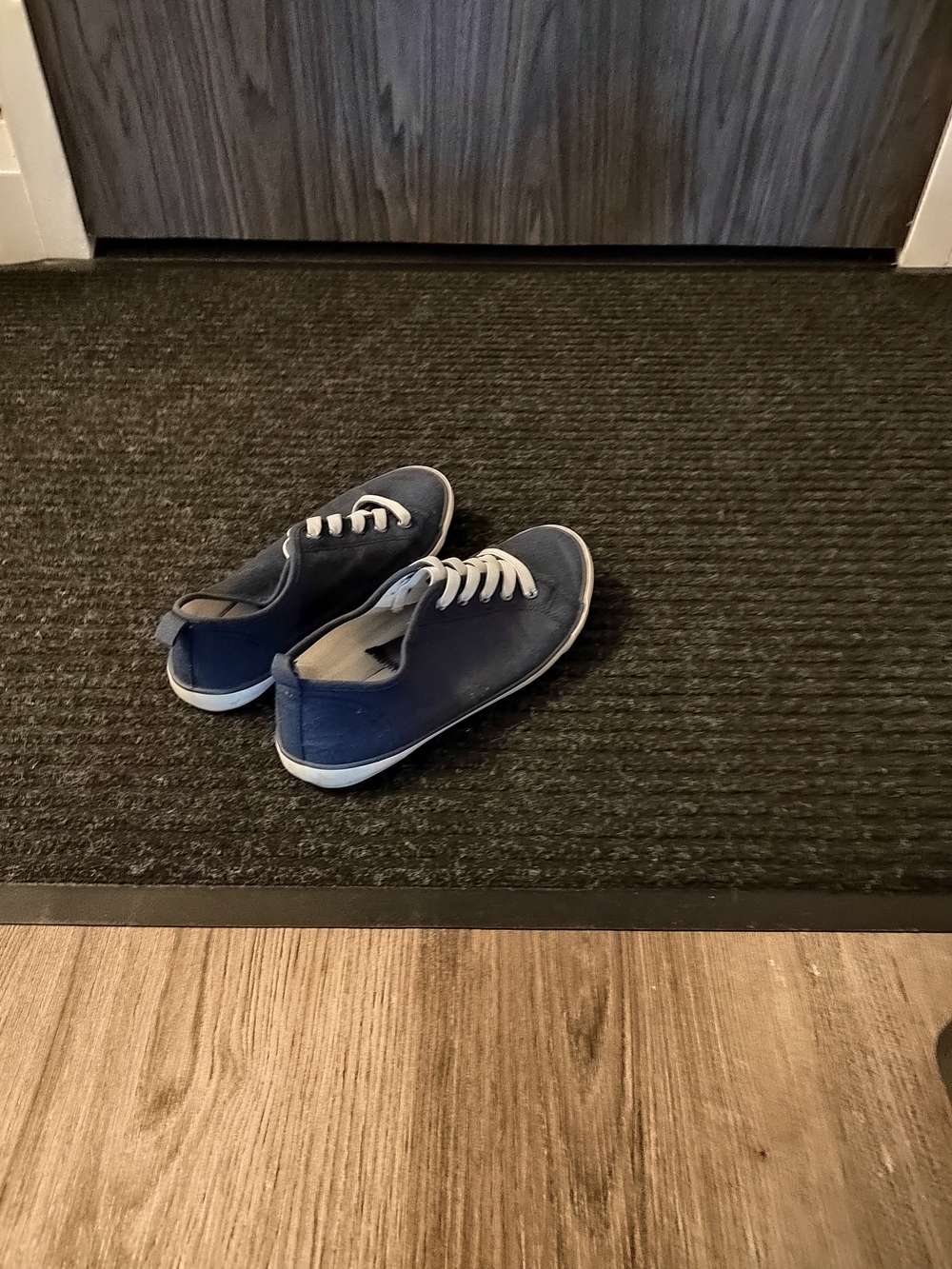 Men's Casual Canvas Sneakers - Navy